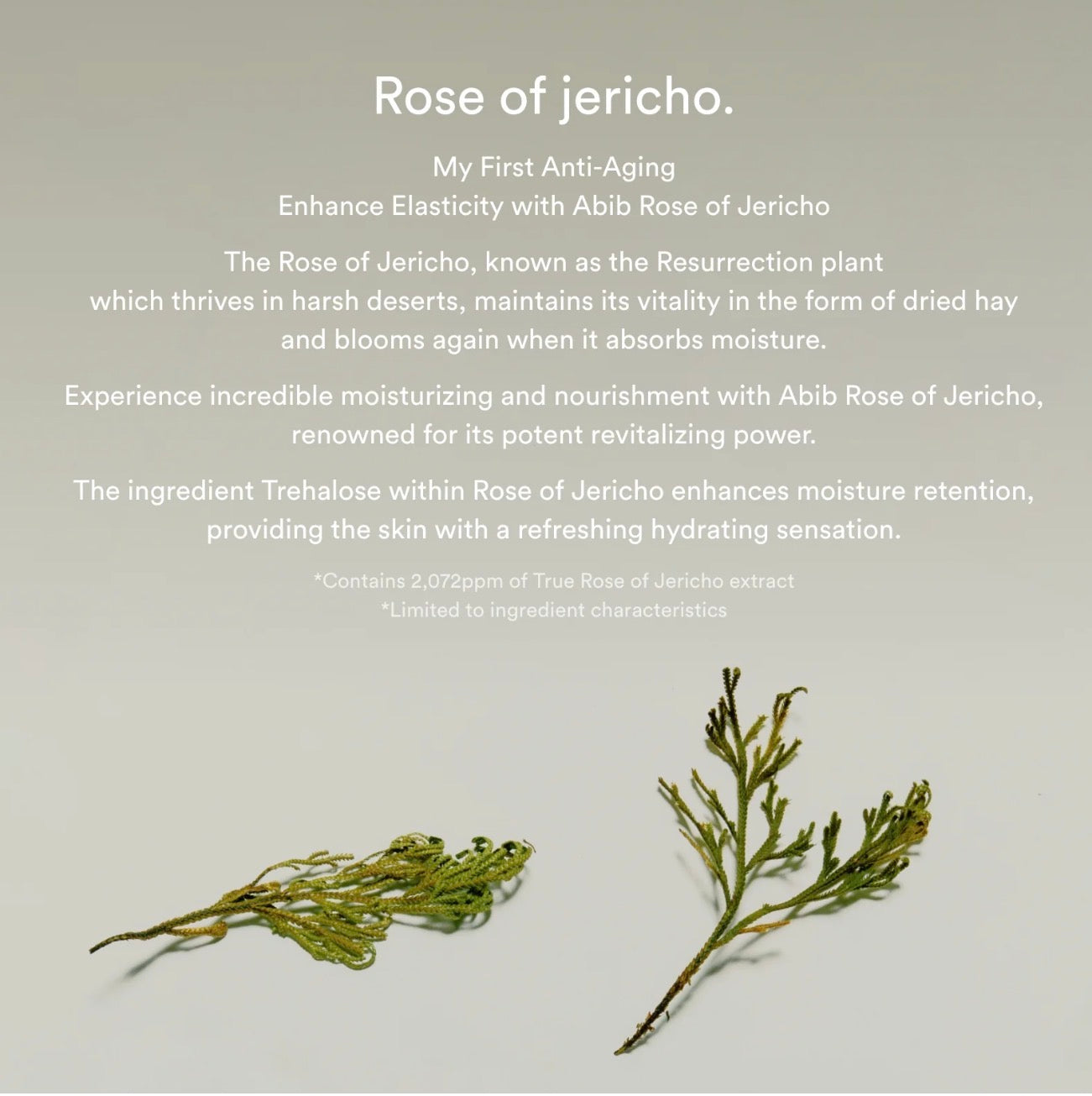 ABIB - Jericho Rose Bifida Serum Firming Drop, 50ml