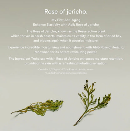 ABIB - Jericho Rose Bifida Serum Firming Drop, 50ml