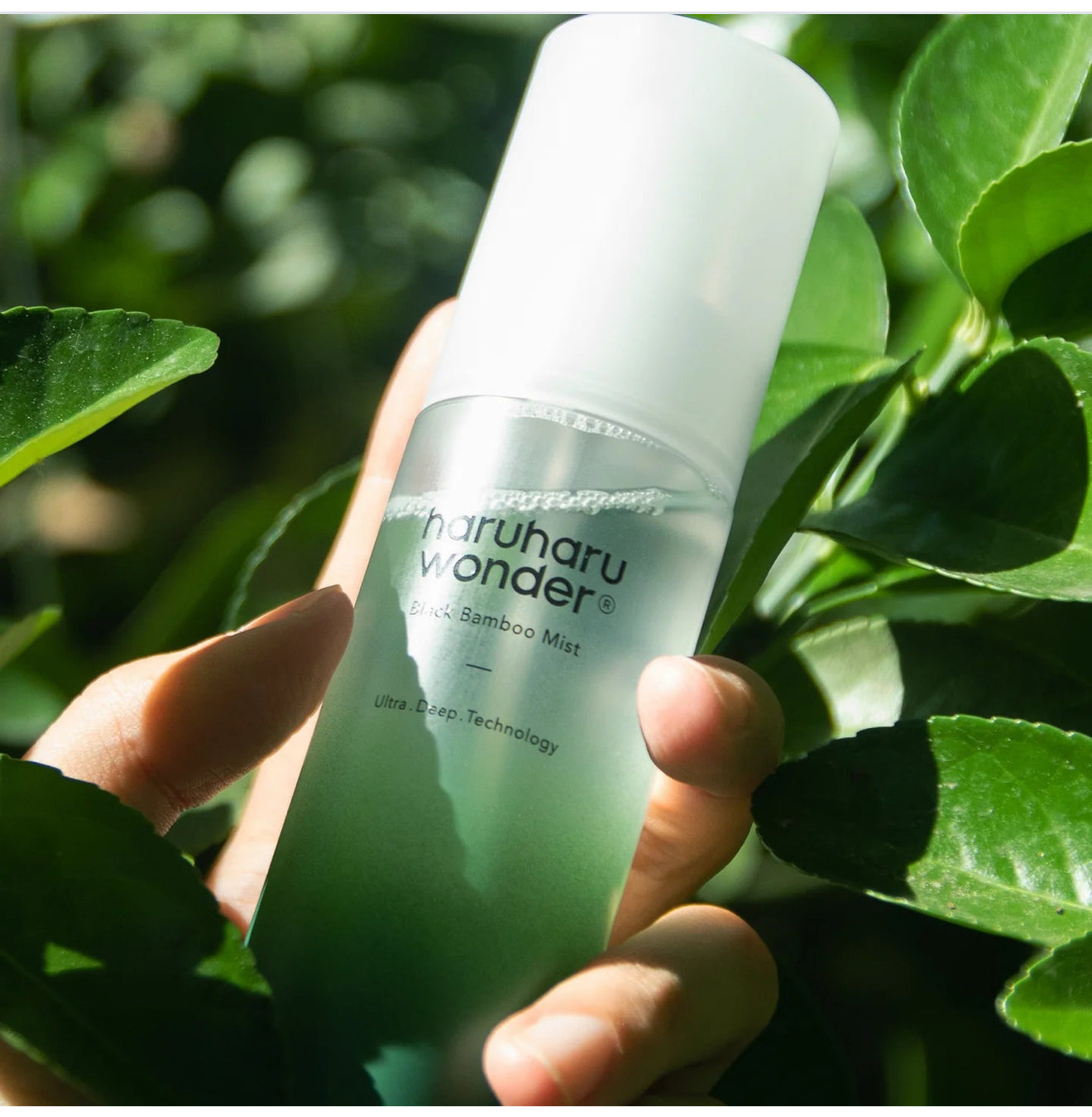 🔺[Haruharu Wonder]Black Bamboo Mist - 80ml