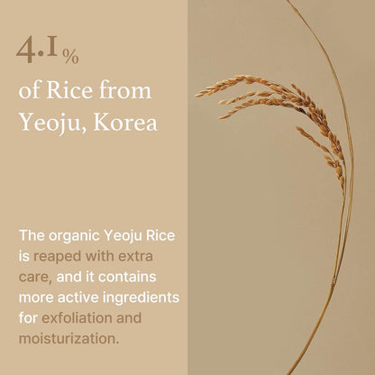🍚[I’m From] Rice Mask – 30g