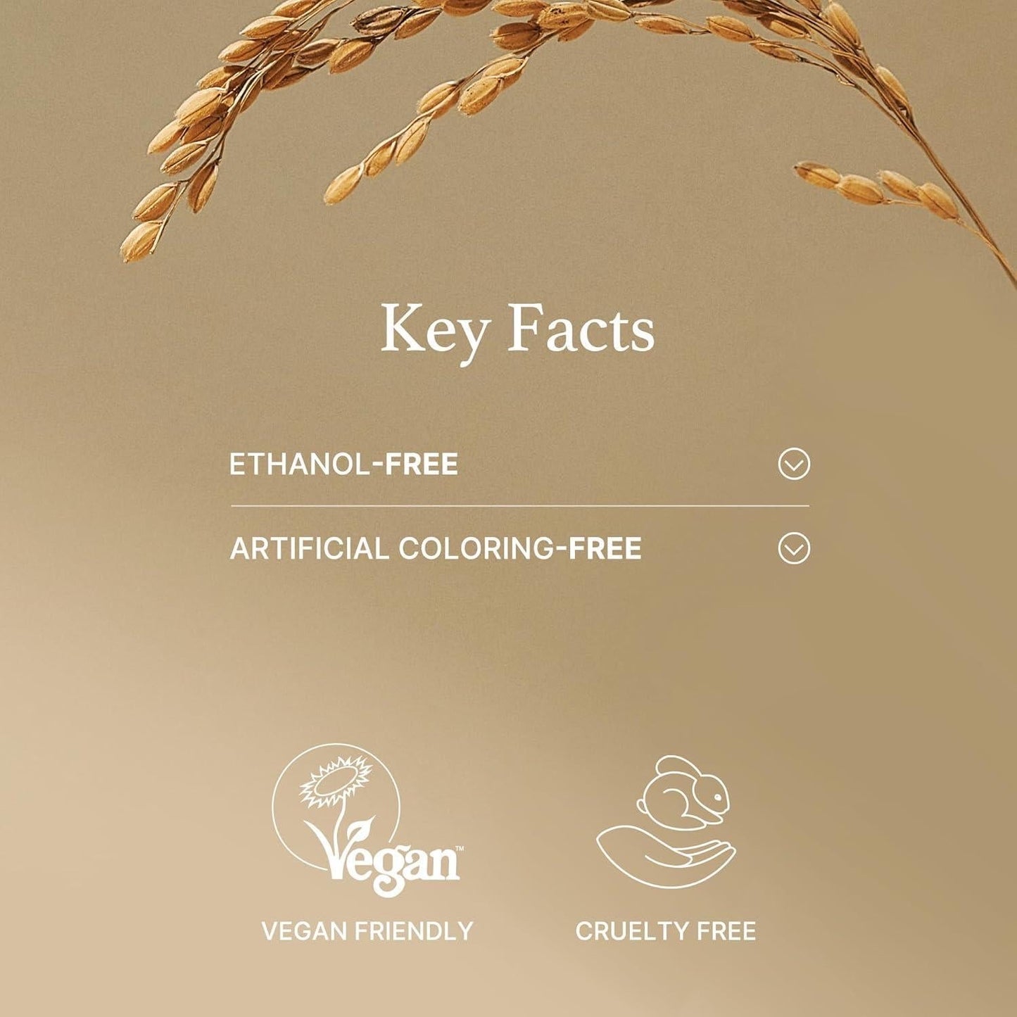 🍚[I’m From] Rice Mask – 30g
