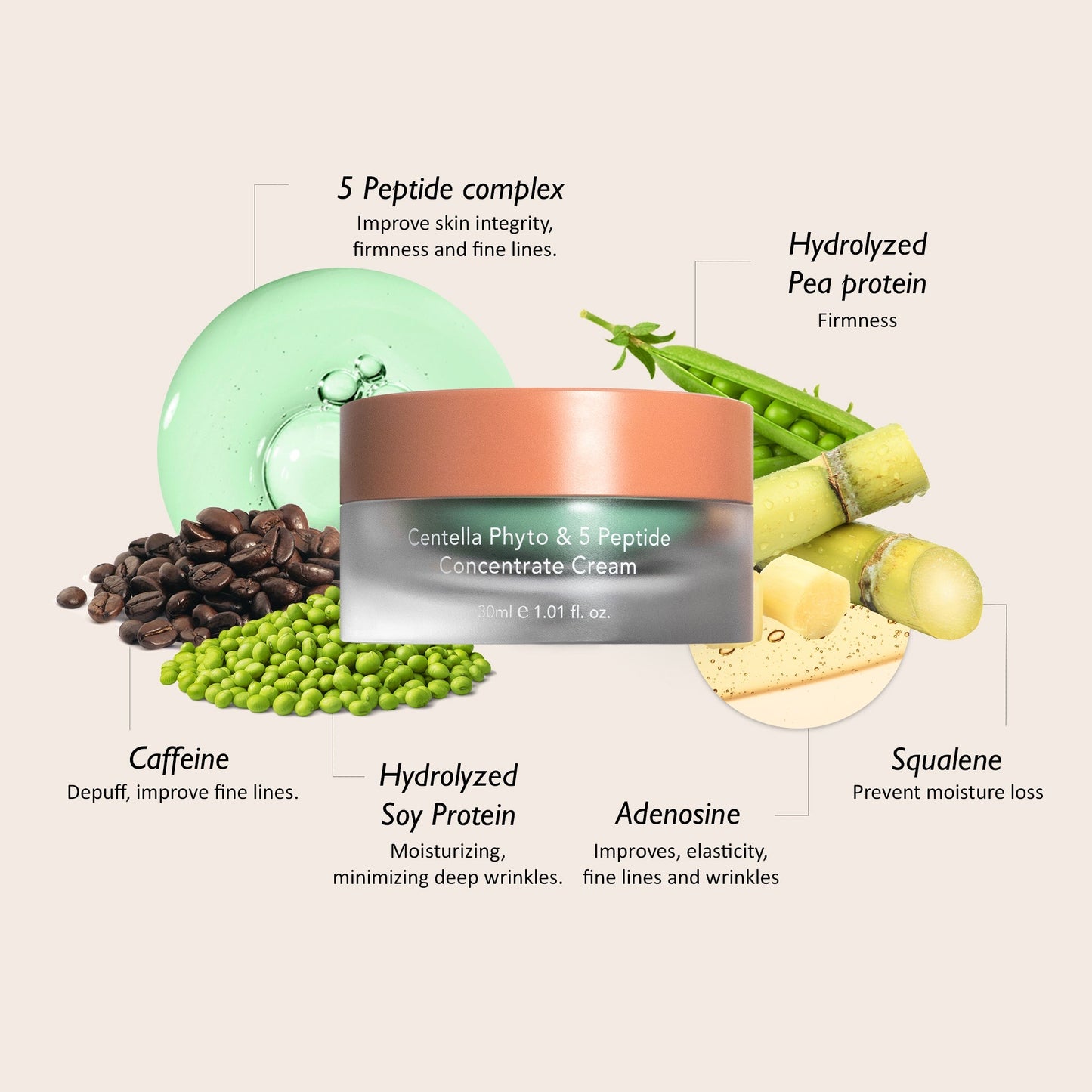 [Haruharuwonder] Centella Phyto & 5 Peptide Concentrate Cream Refill only 30ml